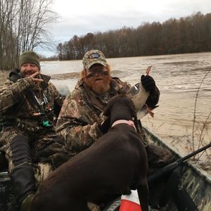 Meet your Posher, Shane